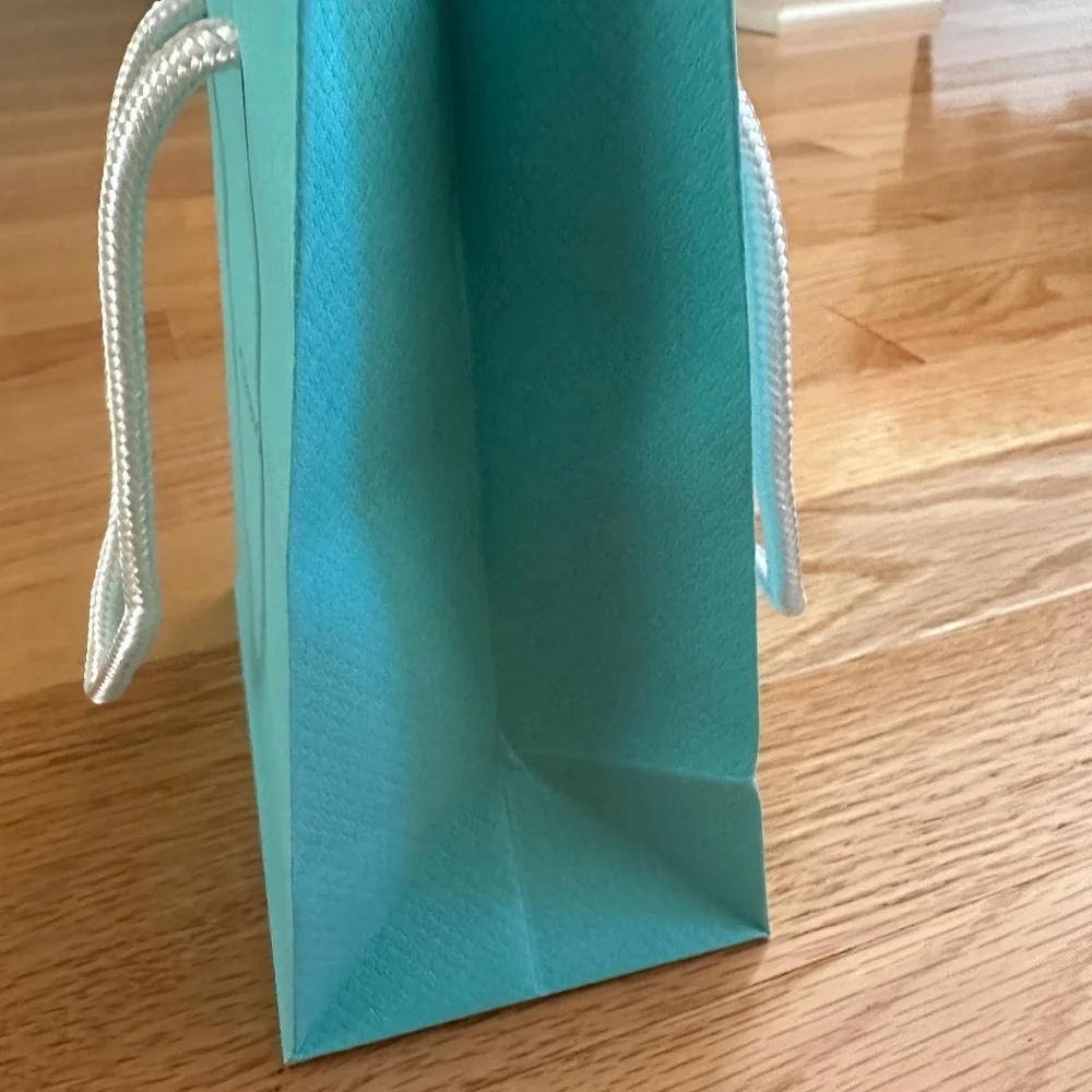 Tiffany & Co Paper Gift Bag Small 6